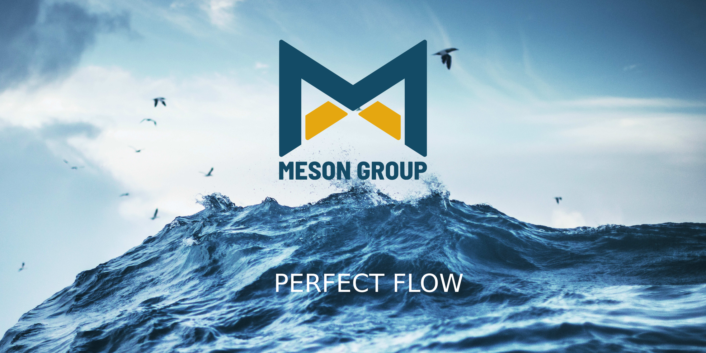 meson